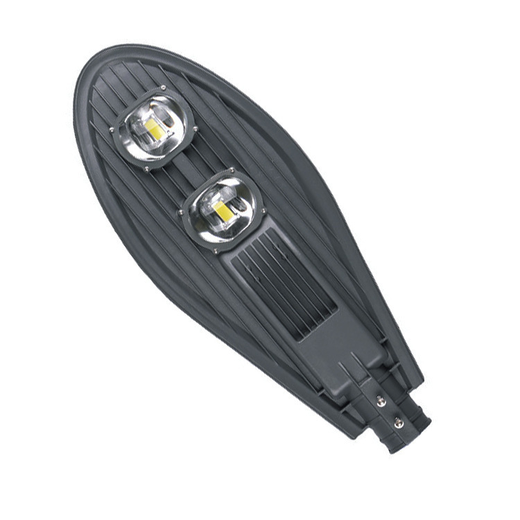 Đèn Đường Led Lá 100w (TDLDLD-100)