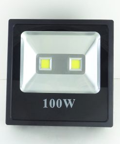 Đèn Pha Led Ngoài Trời IP66 F1 100w (TDLF-RIP66100)