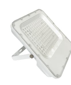 Đèn Pha Led Ngoài Trời smd 100w (FSMD23-100)