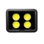 Đèn Chiếu Sáng Bóng Chuyền 200w Giá Rẻ (TDLFC-T200) Thành Đạt Led