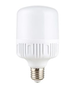 Đèn bulb trụ nhựa 10W (TDL-DBN10) Thành Đạt Led