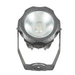 Đèn led Rọi Cột Ngoài Trời 30w (TDL-R0830)